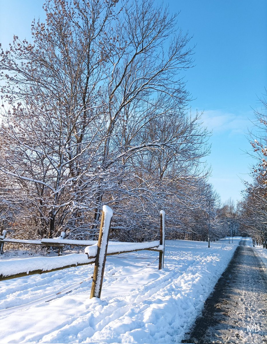 Martina Dvorská (@martinadvorsk2) on Twitter photo 