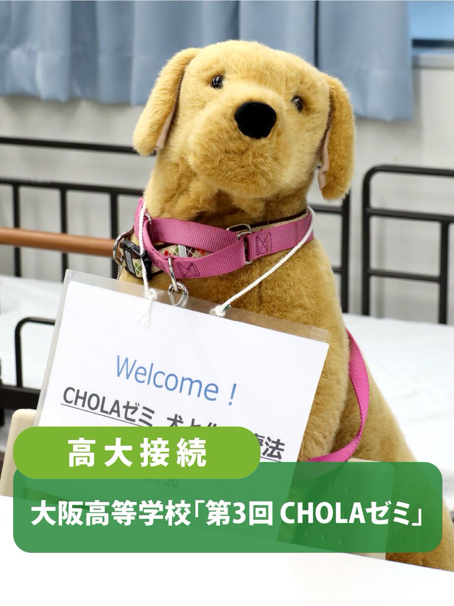 OhsuUniv's tweet photo. 11月20日に #大阪高等学校「第3回 CHOLAゼミ」を #大阪保健医療大学 で開催しました！

今回のテーマは「#作業療法士 になってみよう」
生徒の皆さんは「スポーツ×OT」「介助犬×OT」「ファッション×OT」「脳×OT」の4つから関心のある分野を選び、チームごとに学びを深めました🔥 https://t.co/2WbuPUUzdu