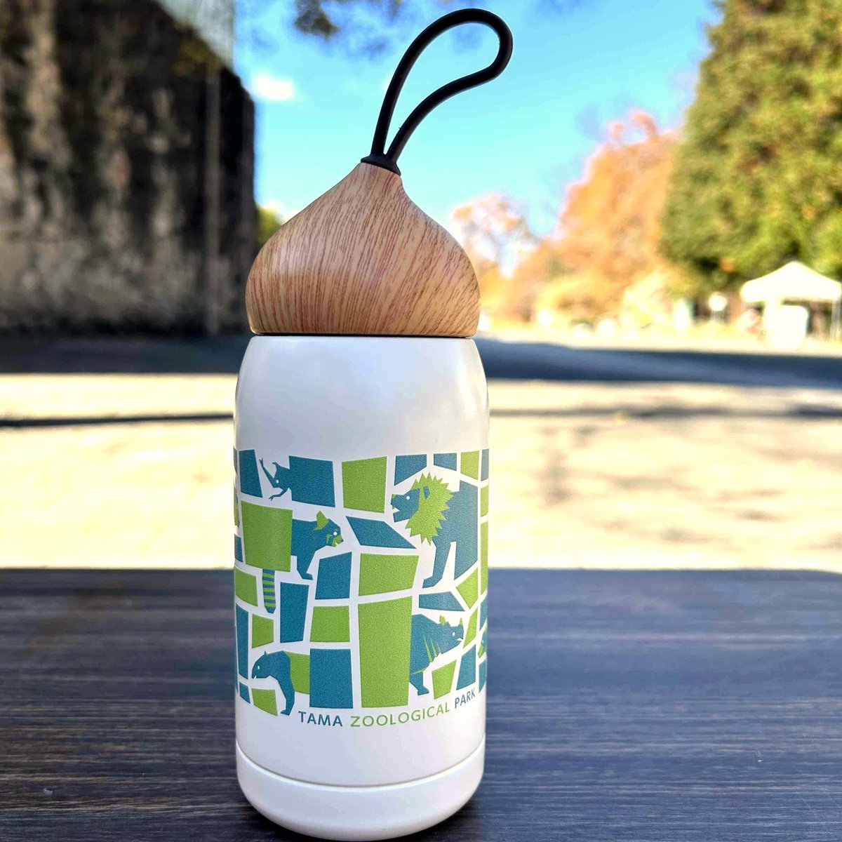 🐾✨新発売✨🐾 ドングリボトル TAMA ZOO 税込2,420円 どんぐり