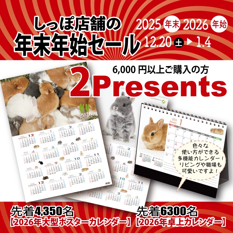 うさぎのしっぽ (@sippo_info) / Posts / X