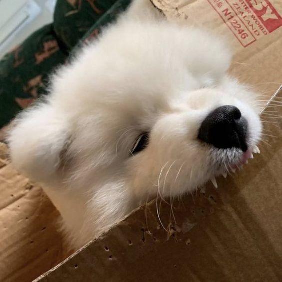 Jonny Bid tweet media