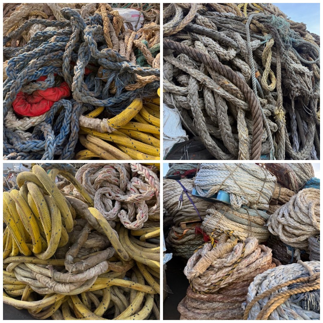 Foursfze's tweet image. PP Rope
Available
Interested Buyers may contact
WhatsApp: +971506802492
E-mail: info@foursfze.com and bdm@foursfze.com

whatsapp.com/channel/0029Va…

#PPRope #PolypropyleneRope #PPMaterial #PlasticRope #RopeTrading #RopeExport #RopeImport #IndustrialRope #MarineRope #circulareconomy