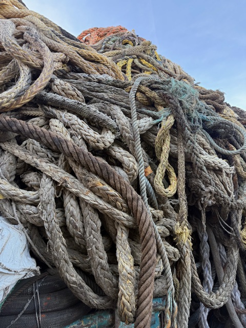 Foursfze's tweet image. PP Rope
Available
Interested Buyers may contact
WhatsApp: +971506802492
E-mail: info@foursfze.com and bdm@foursfze.com

whatsapp.com/channel/0029Va…

#PPRope #PolypropyleneRope #PPMaterial #PlasticRope #RopeTrading #RopeExport #RopeImport #IndustrialRope #MarineRope #circulareconomy