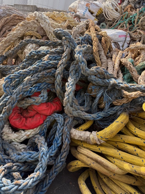 Foursfze's tweet image. PP Rope
Available
Interested Buyers may contact
WhatsApp: +971506802492
E-mail: info@foursfze.com and bdm@foursfze.com

whatsapp.com/channel/0029Va…

#PPRope #PolypropyleneRope #PPMaterial #PlasticRope #RopeTrading #RopeExport #RopeImport #IndustrialRope #MarineRope #circulareconomy