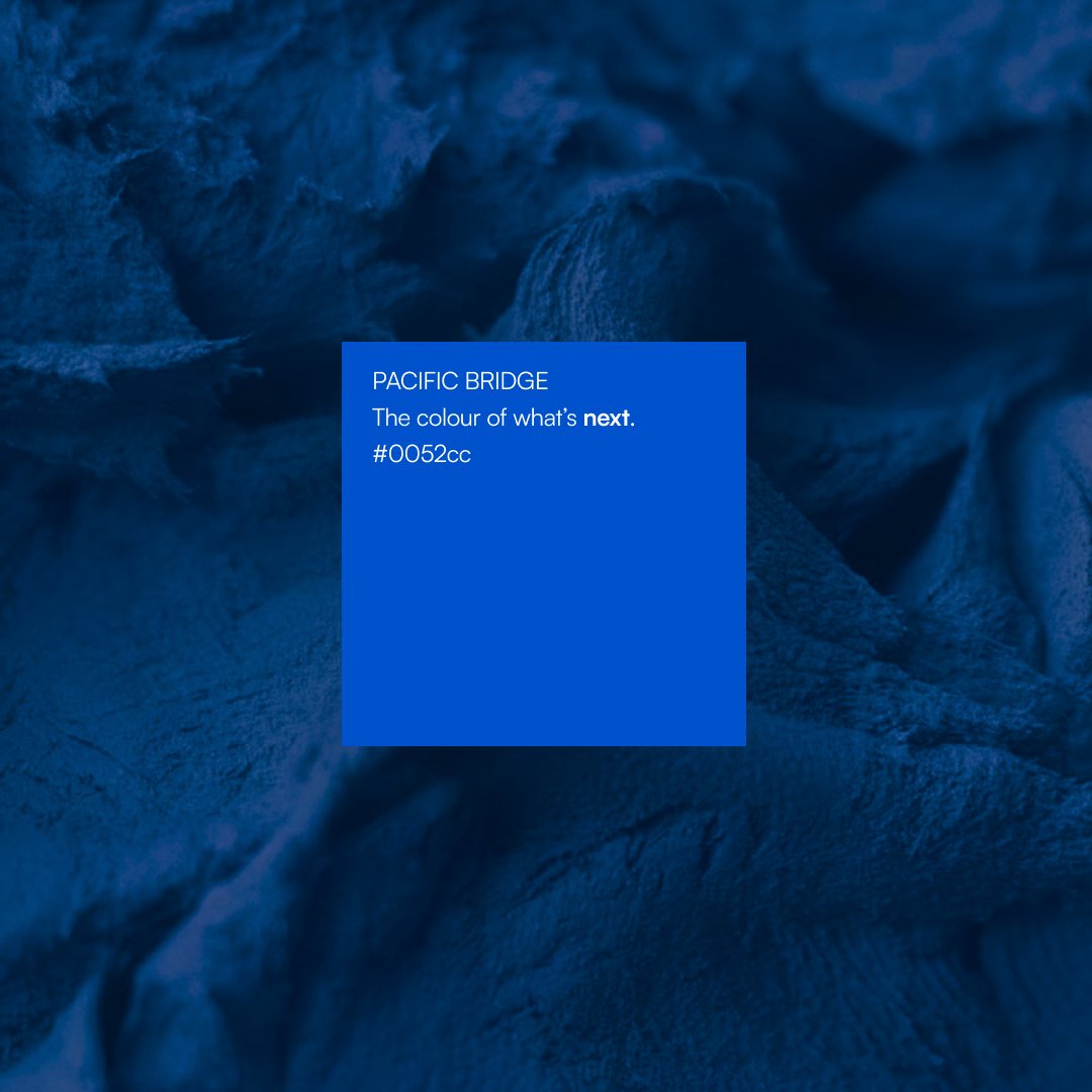 Every brand has its quiet heroes. For us it is Pacific Bridge, our primary color that brings clarity, trust and depth to everything we design.

As we build toward our next big innovation, #0052cc becomes more than a color for us. :)

#Design #Color #BuiltWithIntent