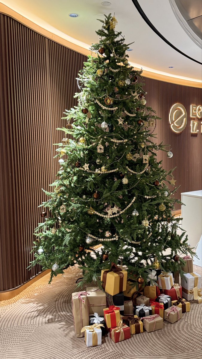 Jillyoohhh's tweet photo. 🎄🧑‍🎄 https://t.co/4d1owt4fh8