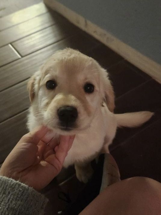 Best Of Photography (@graphiphoto) on Twitter photo 