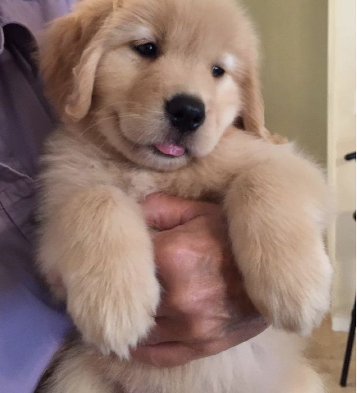 Best Of Photography (@graphiphoto) on Twitter photo 