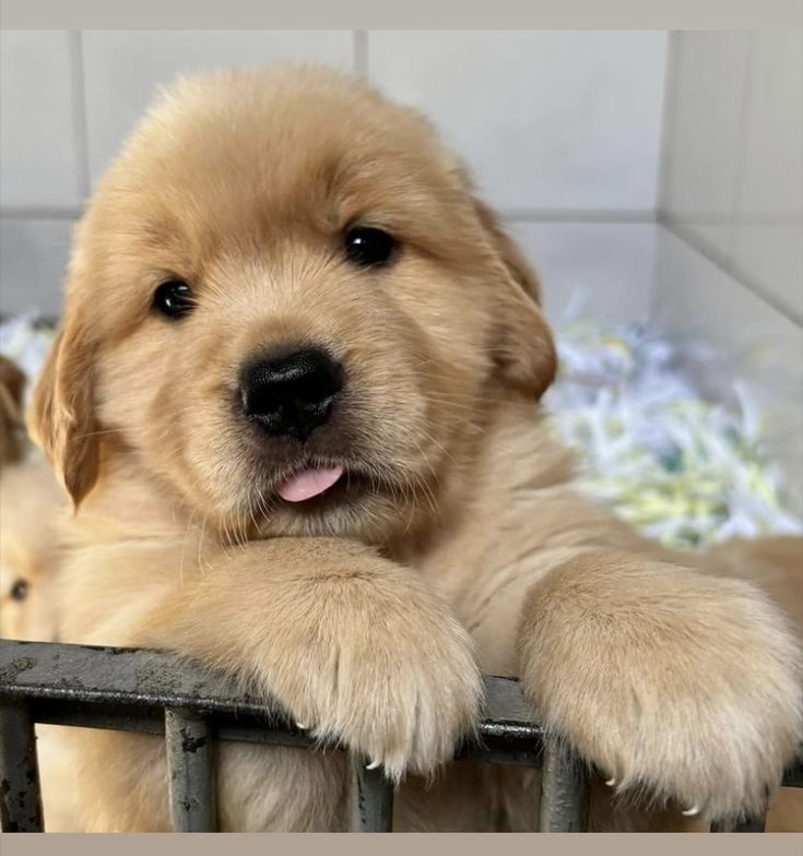 Best Of Photography (@graphiphoto) on Twitter photo 