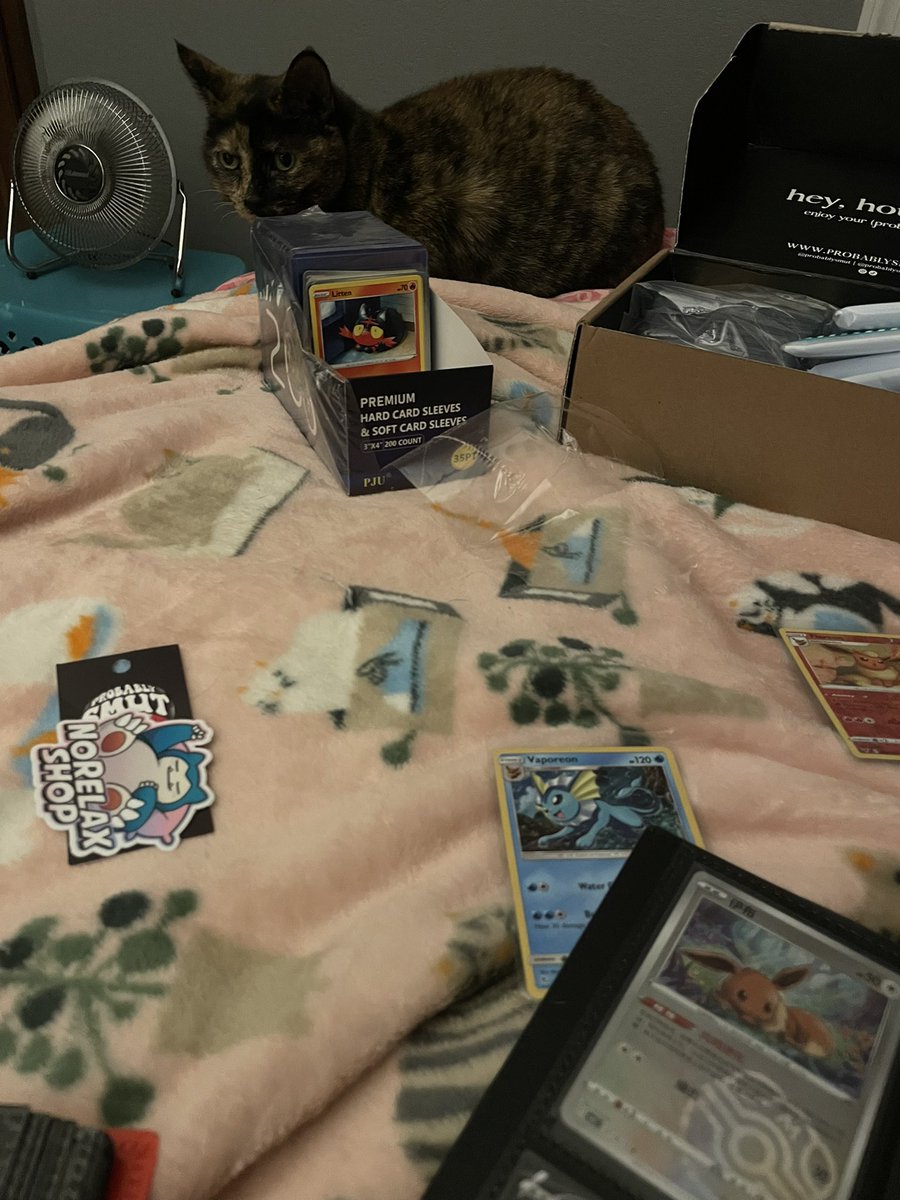 shauna_vin's tweet photo. I cant sleep so naturally im listening to #quicksliver and organizing my #pokemon card binders. https://t.co/tlcE0qmILy