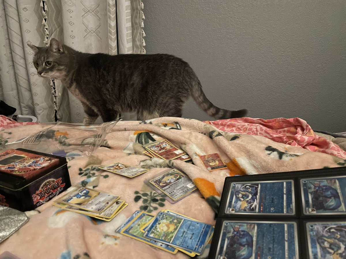 shauna_vin's tweet photo. I cant sleep so naturally im listening to #quicksliver and organizing my #pokemon card binders. https://t.co/tlcE0qmILy