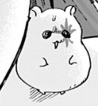 今週のハム🐹たち… 