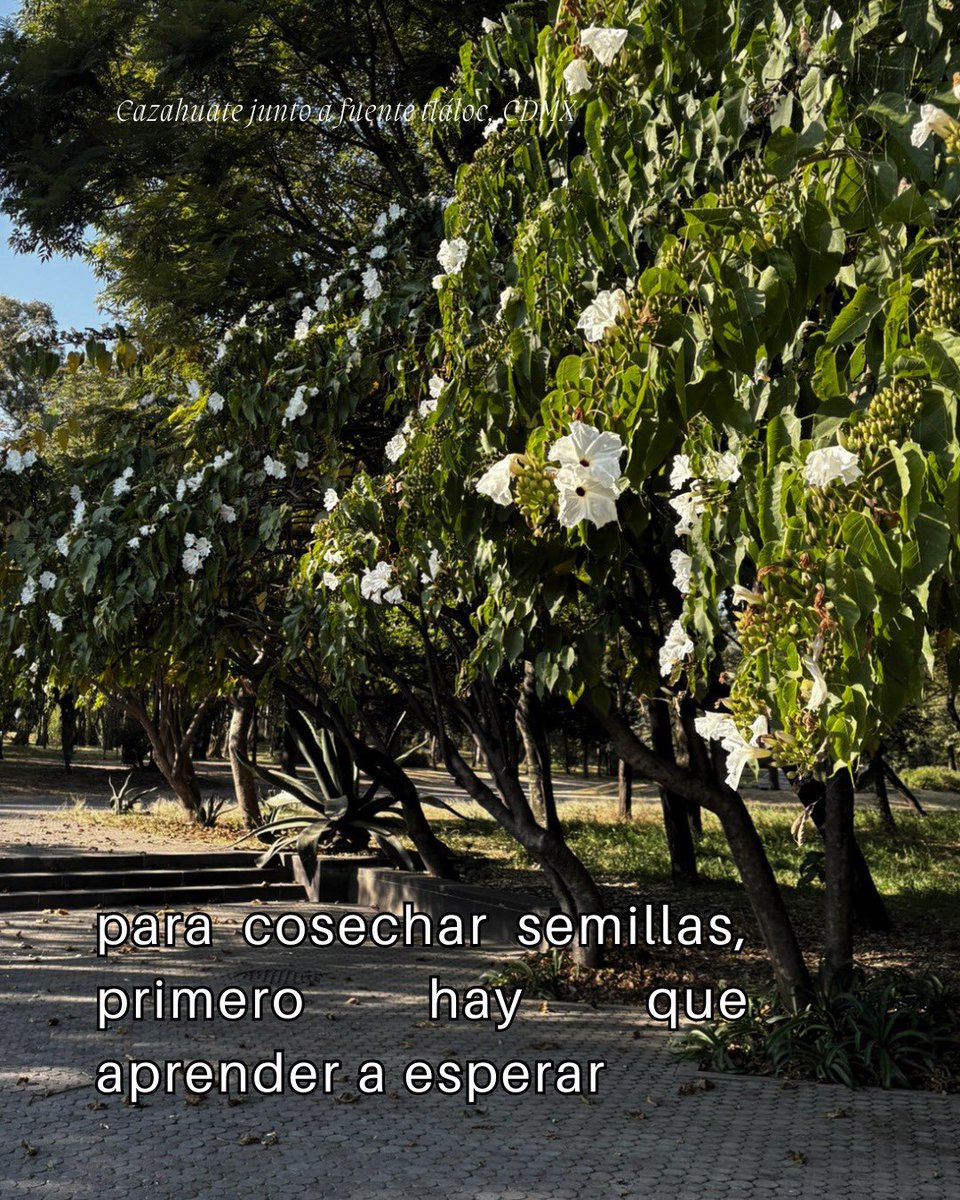 Es importante saber que la vegetación no conoce de la urgencia humana.