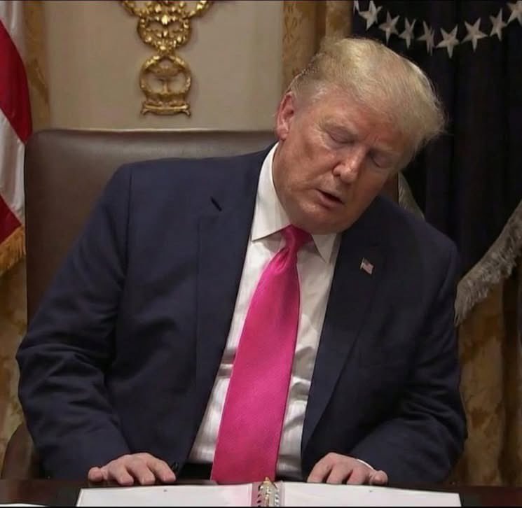 Now it makes sense that his only friend is the My Pillow guy.