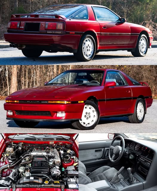 _Christina520's tweet photo. 1987 Toyota Supra Turbo

Do you like this car? https://t.co/4HTfhHay6O