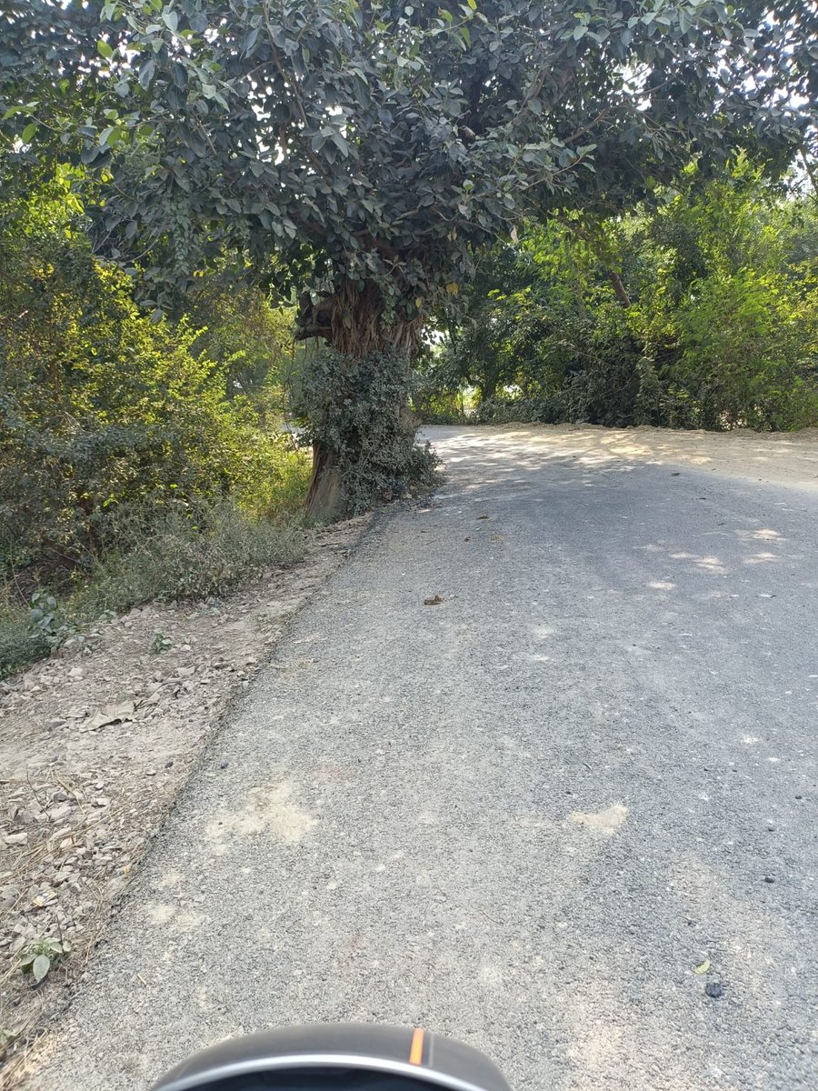 Pradeep Singh_24 News HD (वायदा सच का) Amethi🇮🇳 tweet media