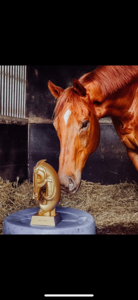 What a privilege to have been involved in a horse like Front Page. Some amazing stories along the way and for all the highs, some lows &amp; wins he gave us (Group 2, Kosi x2, Listed Creswick, Wagga Town Plate) the biggest win is he retires a fit, healthy and happy horse.