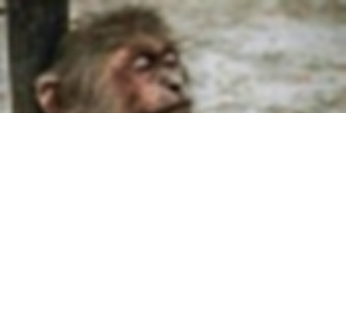 Uncle Bob tweet media