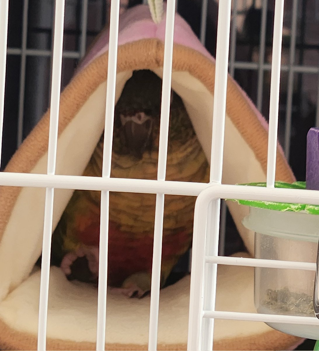 右のあんよ上げて寝てる…かわいい…