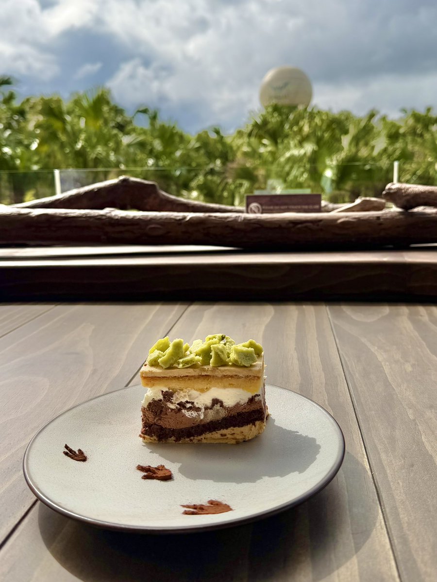 豆乳さん🥛🌱 (@mamenitounyu) / Posts / X