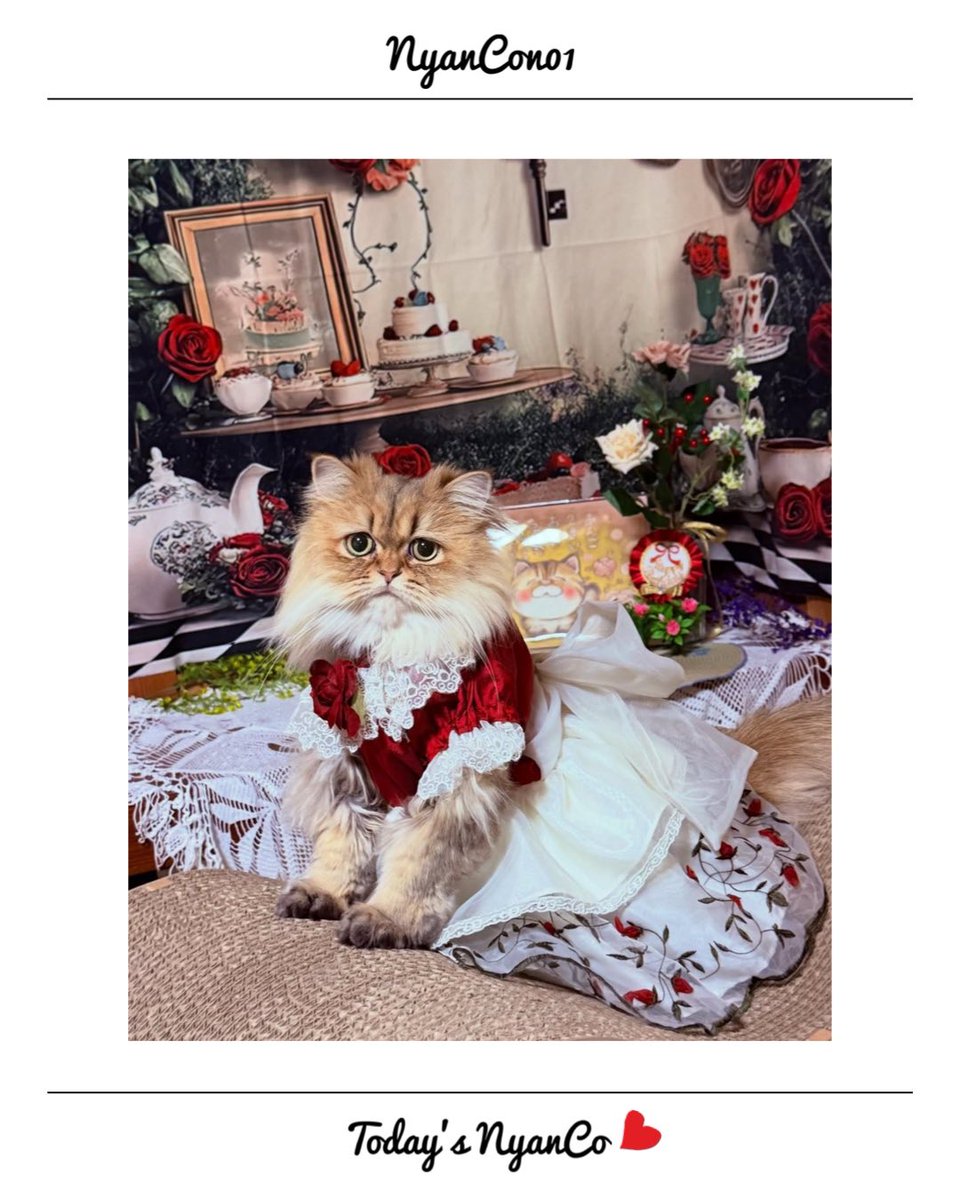 午前中までの特別価格❗️A4大作品✨手作り額付き作品　title「創造ニャンコ」 手作り額付き作品 title「はじまりのニャンコ」 - メルカリ