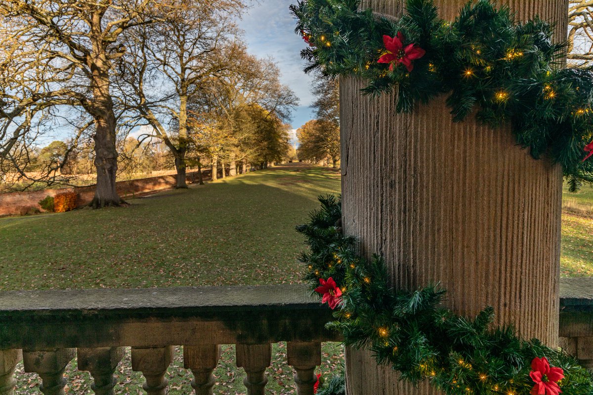 Whitelee Cottages tweet media