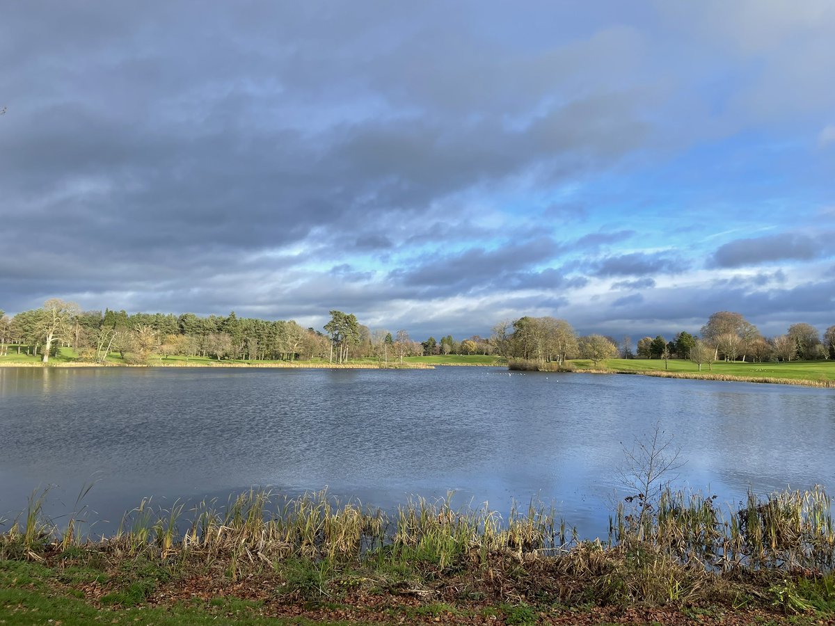 Our winter remodel works growing in nice @MaloneGC 
Thanks to Perry and Maint team at the club. 
Build by team <a href="/DARGolf_/">DARGolf Construction</a>