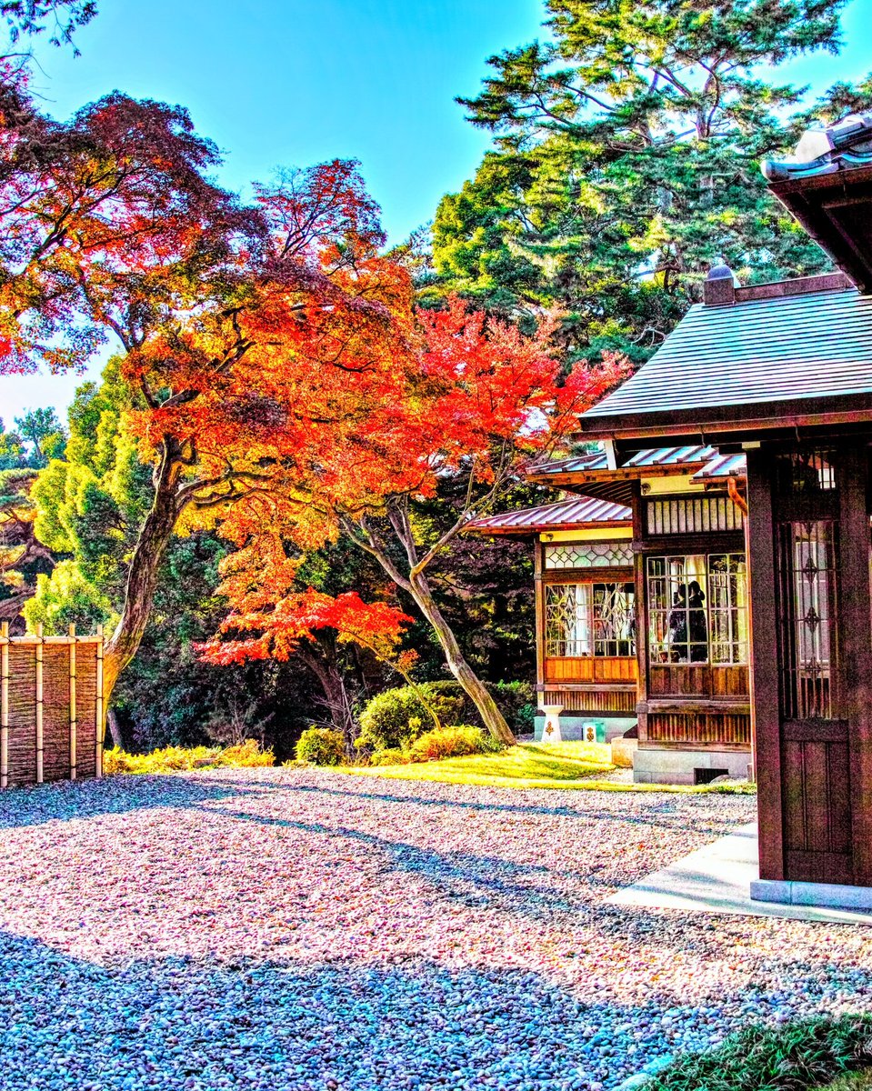 オネ (@Hif52yY1DjTg0ML) / Posts / X