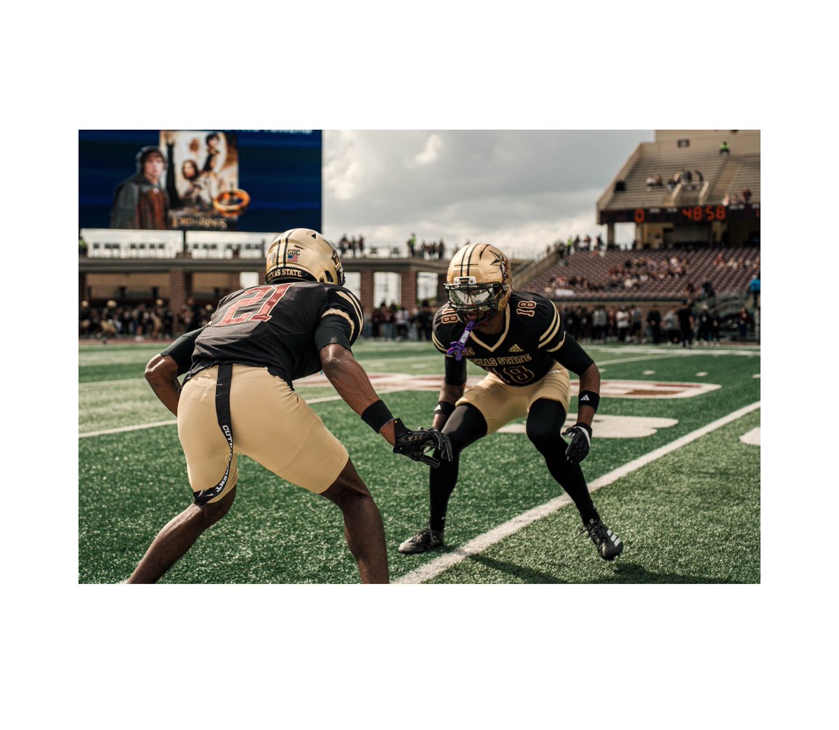 Jayne Sanchez tweet media