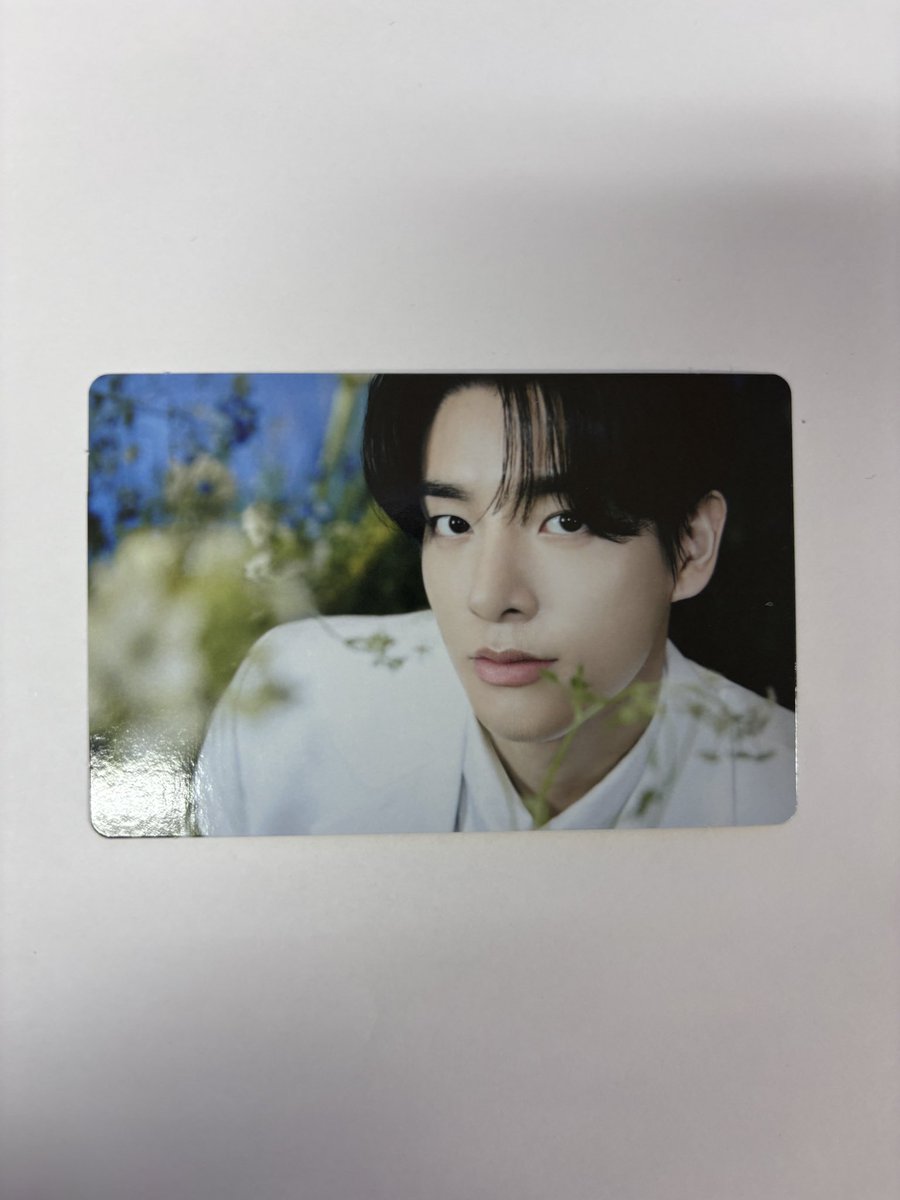 ENHYPEN WALK THE LINE FINAL ソウルコン ラキドロ ミニうちわ 買取