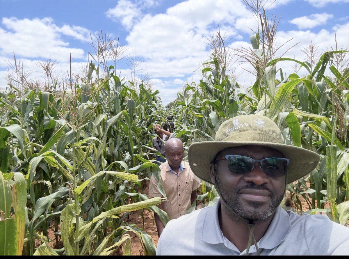 Hambulo Ngoma tweet media