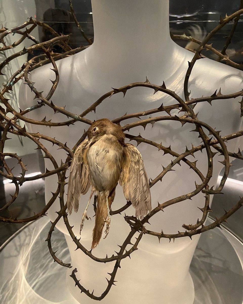 Así se siente aprender a gestionar tus emociones cuando siempre amaste sin límites.