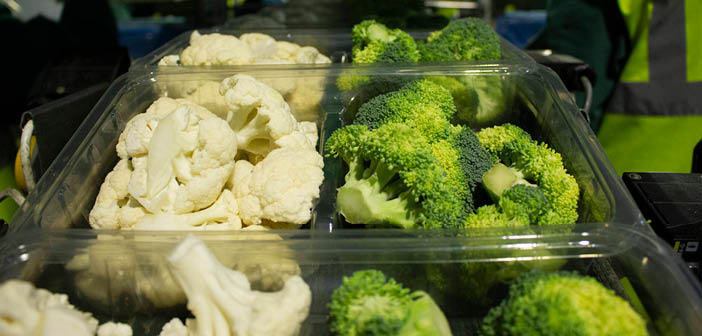 Losses increase at LFP despite rise in turnover

Read more via #HortNews >> hortnews.com/articles/horti…