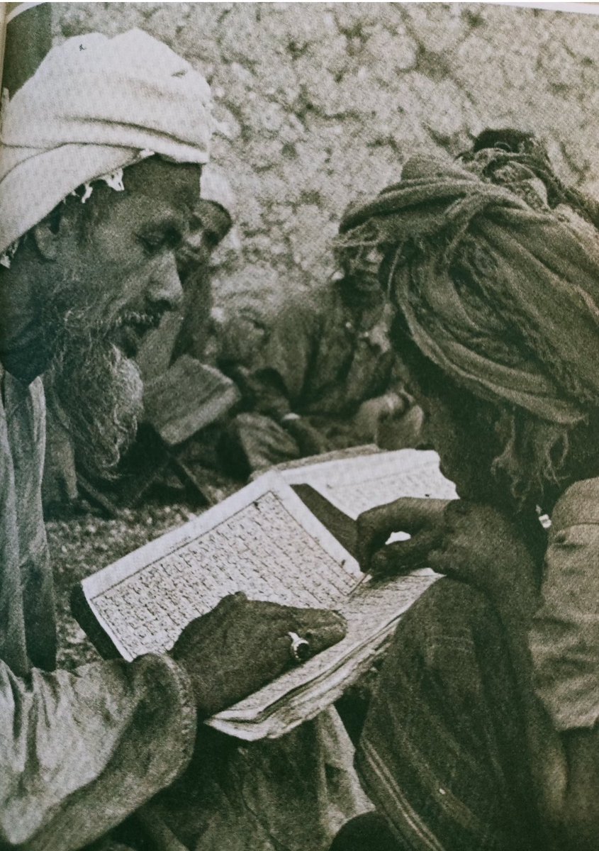 Aisha Alfarsiمذحجة tweet media