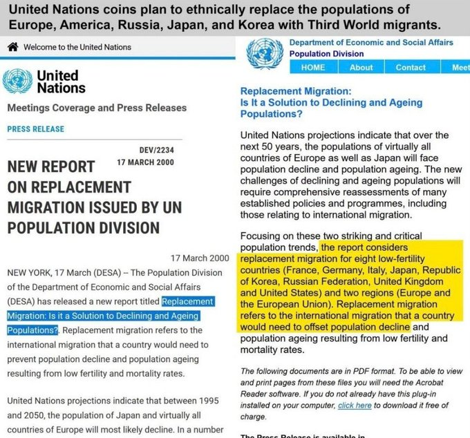 SandraXFreedom's tweet image. The UN &amp;amp; World Economic Forum &quot;Replacement Migration&quot; plot exposed since 2000!

They couldn&apos;t legally flood the US, so they schemed illegal border surges via southern invasion.

YOUR tax dollars? Funneled through NGOs to swap Western civilization for third-world chaos—dooming…