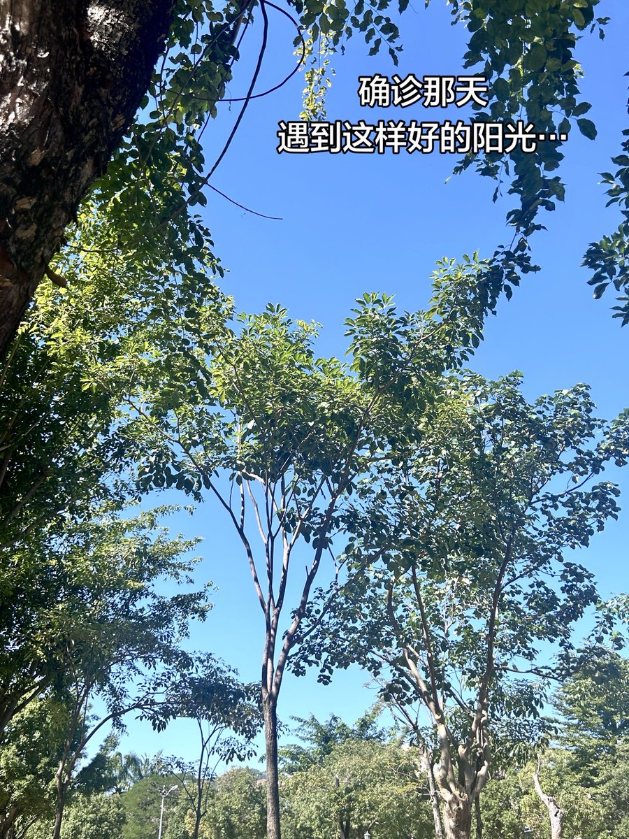 小鱼日记 tweet media