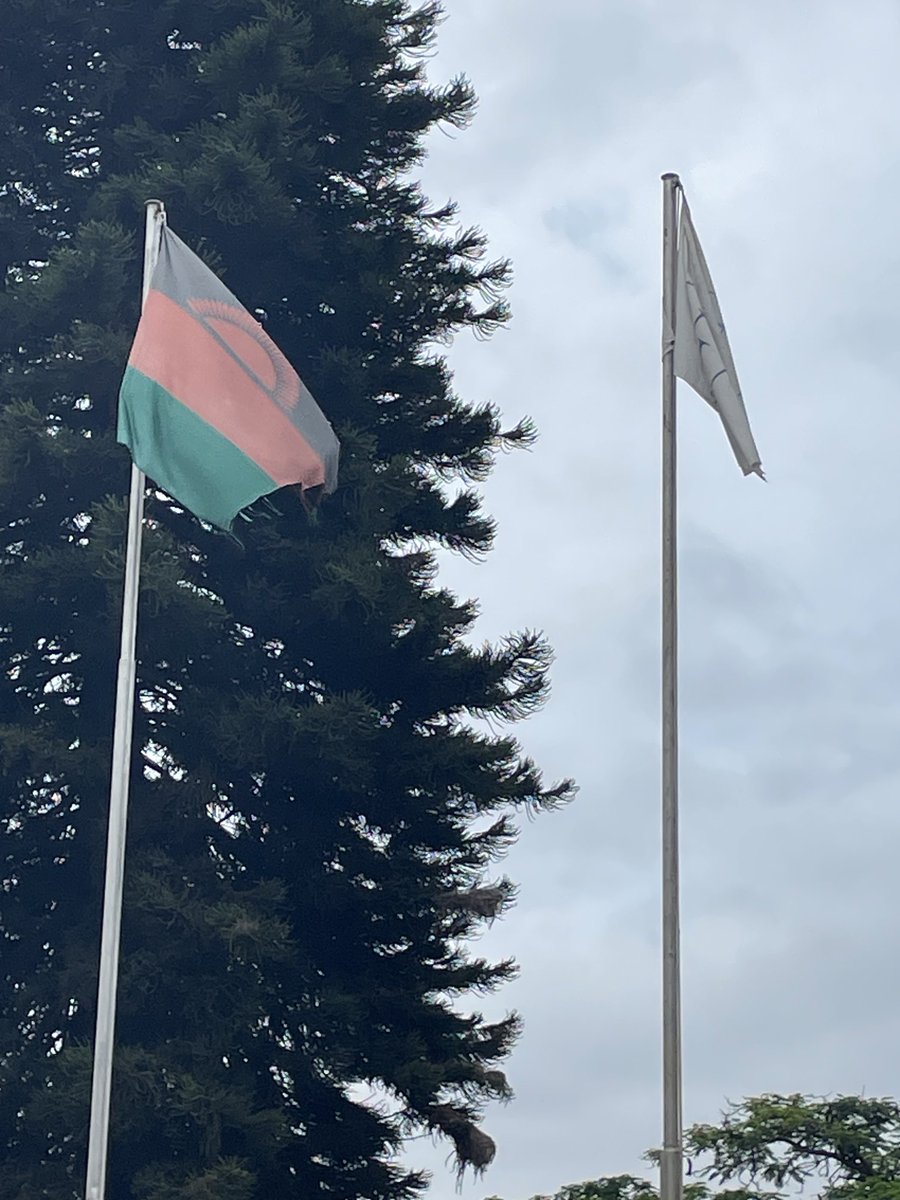 KenaMphonda's tweet image. ⁦@NLS_Malawi⁩ The #Malawi flag, if torn, no longer has the same value of respect as a national #flag . Time to replace it. Malawi National Library Service, #Lilongwe