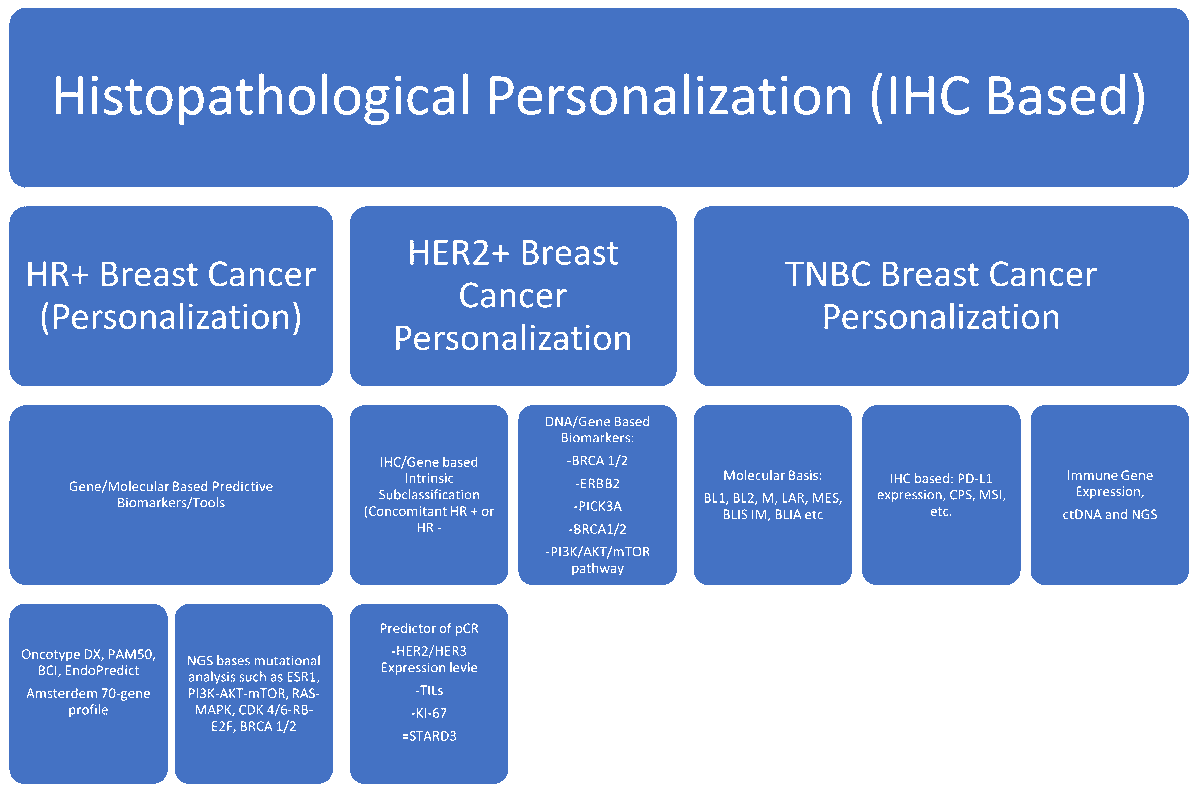 JPM_MDPI's tweet image. 🏆 Editor's Choice #mdpijpm

"Evolving Management of #Breast Cancer in the Era of #Predictive #Biomarkers and Precision Medicine"

👁️ 5,368 views  | 8 citations
📄 Full paper: mdpi.com/2075-4426/14/7…

#PersonalizedMedicine #PrecisionMedicine #BreastCancer #TumorMicroenvironment