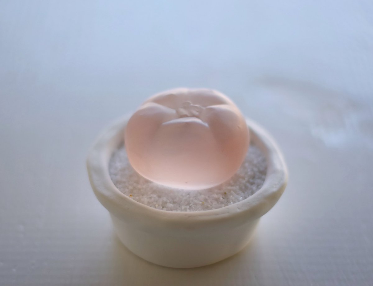 echidna 花瓶 頭蓋骨 echidna 花瓶 頭蓋骨 echidna 花瓶 頭蓋骨