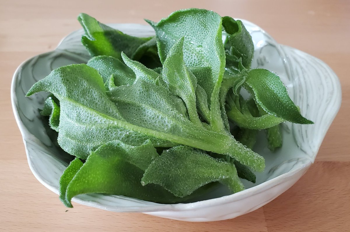 おやつにアイスプラント食べてる。塩気がうまい。