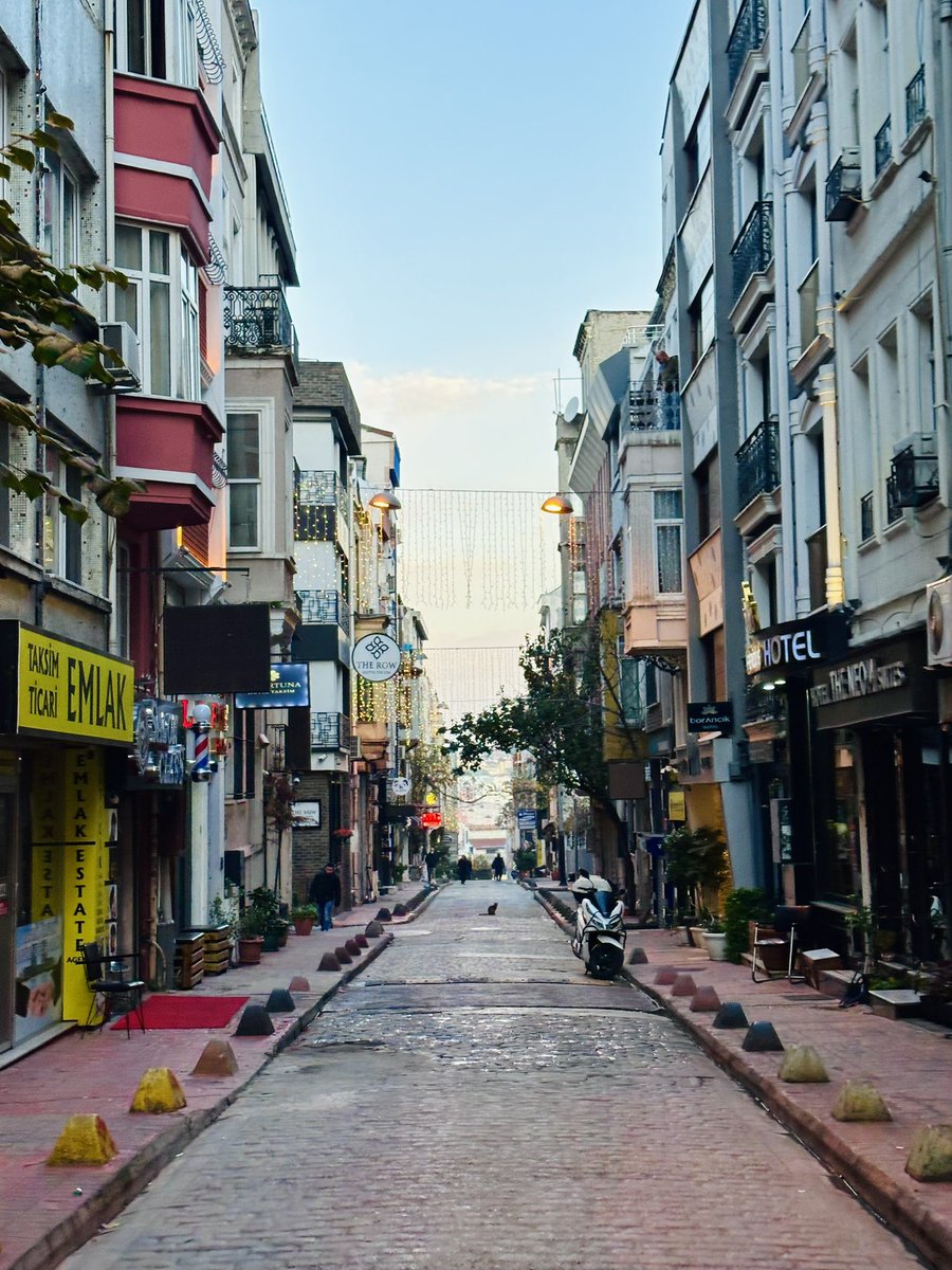 Испытала абсолютное счастье сейчас, идя по утреннему Стамбулу без туристов, жары и суеты

Только ленивые котики и крикливые чайки 

Жизни не представляю без этого города