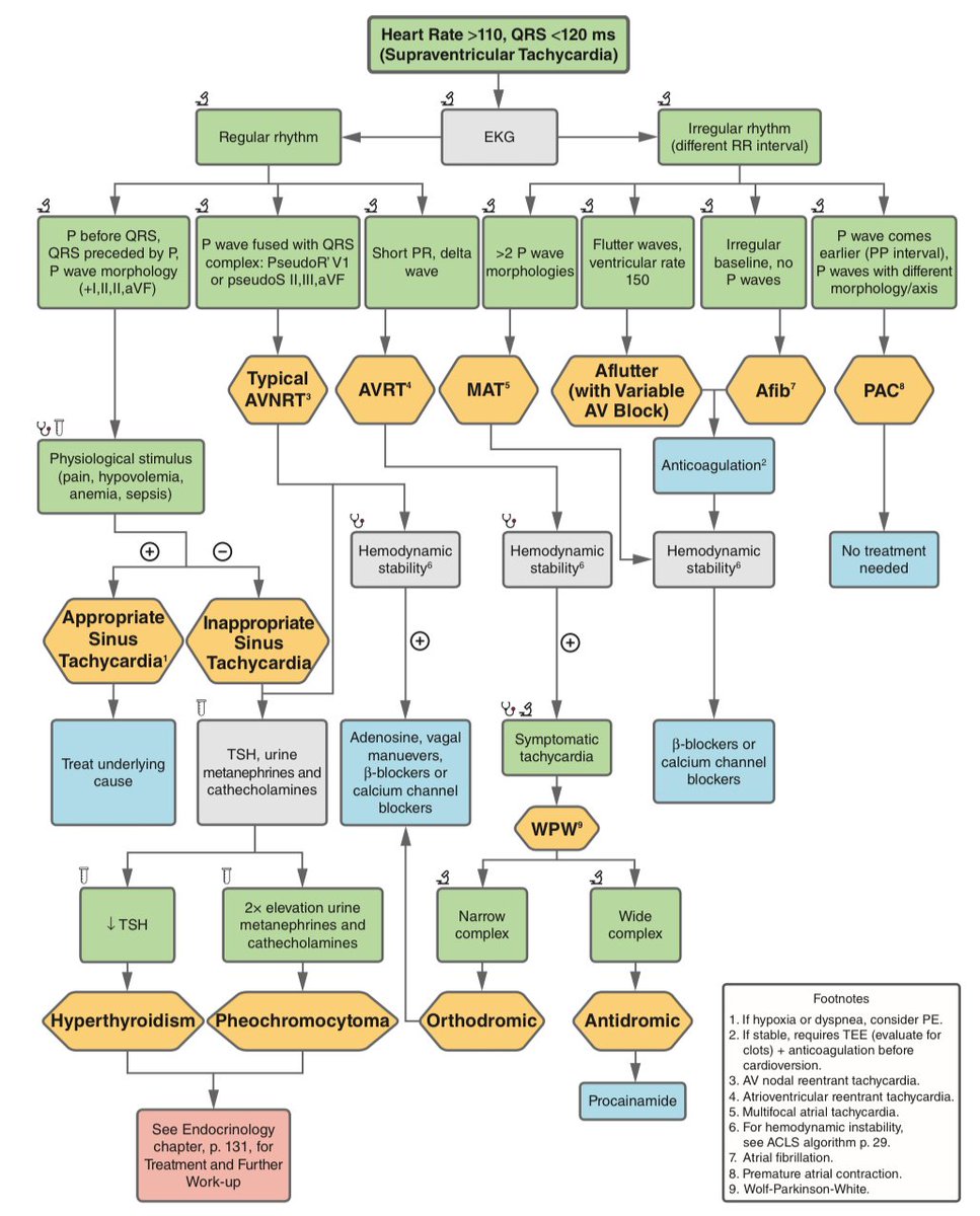 From AVNRT &amp; WPW to AFlutter &amp; MA, navigate supraventricular tachycardia