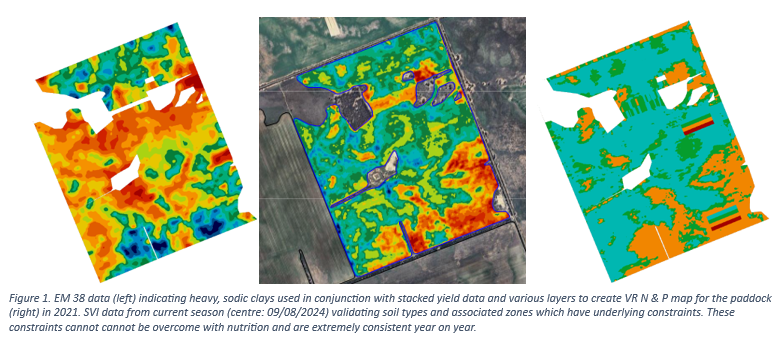 ezi_farmdata's tweet photo. 🎯 Inputs work best when targeted. VR nutrition = right nutrient, right place. 

Read More👉https://t.co/8y673E1HY9 

 #PrecisionAg #VariableRate #EZI https://t.co/ypeXgM0fsB
