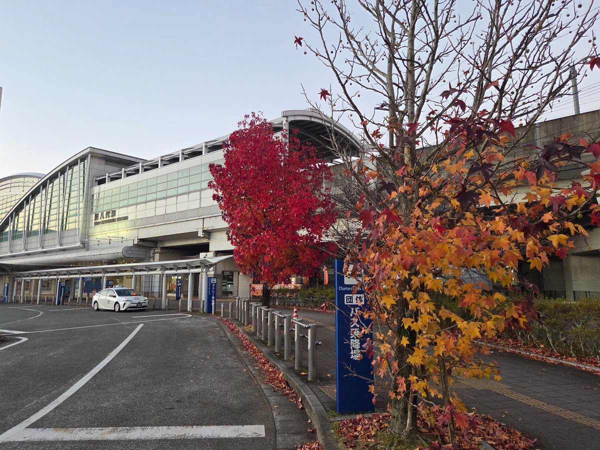 KanetetsuO's tweet photo. 九州の出札補充券は、いつも熊本周辺なので、宮崎周辺の駅にも行きたいです。

ホテルは、無料の夜カレーをいただける、東横INN新八代駅前です。 https://t.co/HTgJVQK1Xa