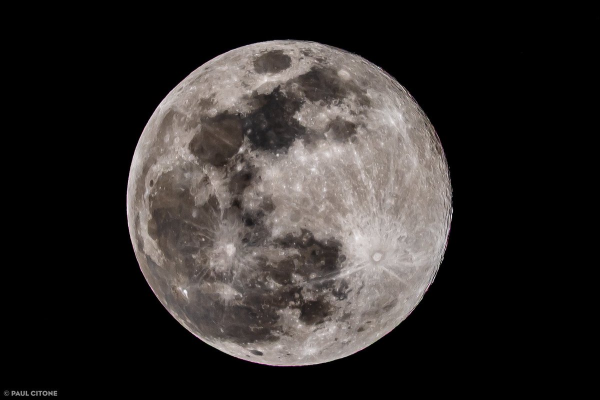 Paul Citone tweet media