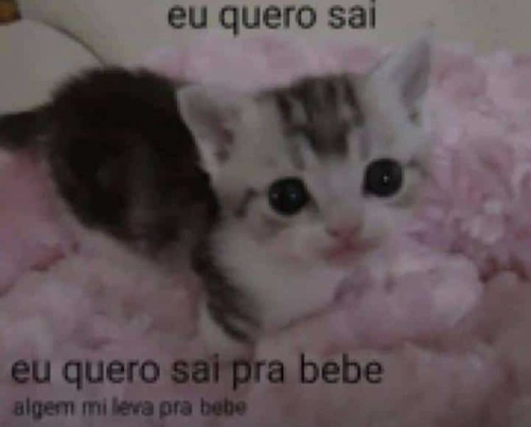 odeiootaco's tweet image. 