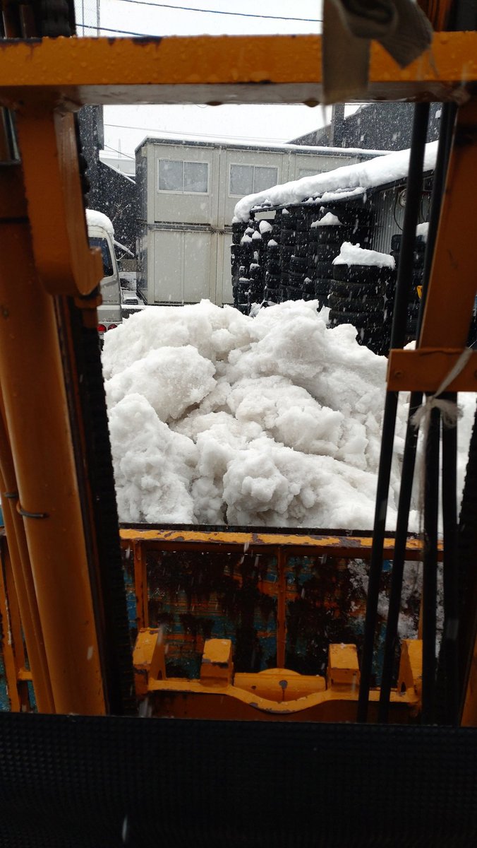 bugbagu's tweet image. ほっとけば消えるのにほっとけない。