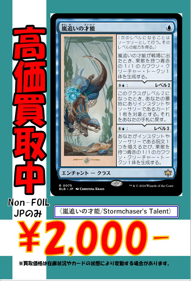 ✨💰高額買取情報💰✨ 世界選手権でも活躍しそうな 🦭 《嵐追いの才能