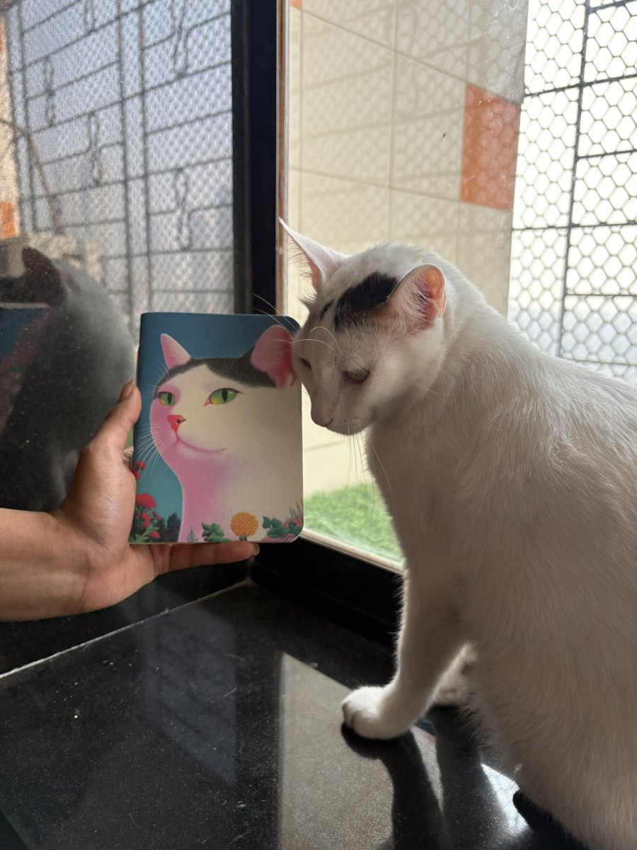 got the cat a personalised notebook so he can journal his thoughts