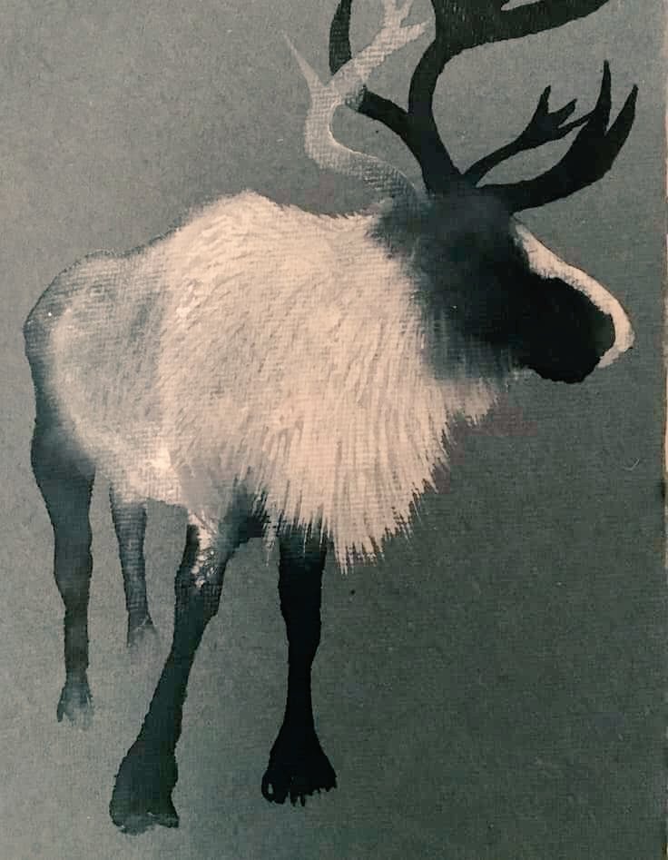 'Inky drawing of a reindeer'  by Scottish artist, Kerry Phippen #WomensArt